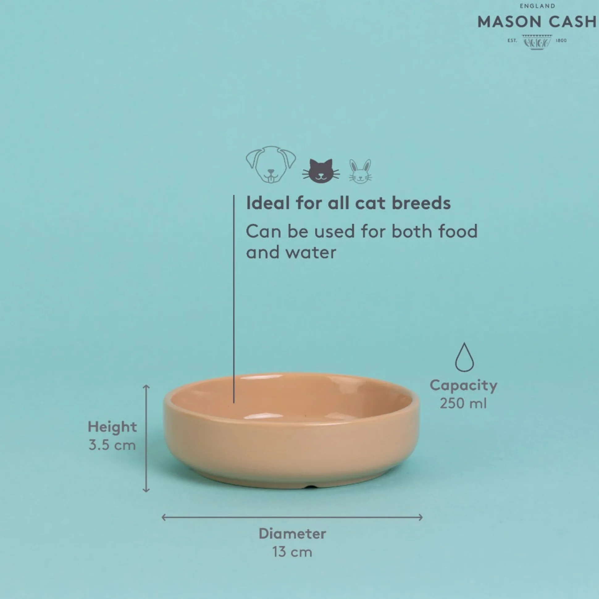Cane Cat Saucer 13cm