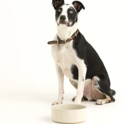 Colour Mix Cream Set Of 2 Dog Bowls 20cm