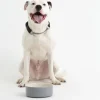 Colour Mix Grey Set Of 2 Dog Bowls 20cm