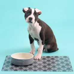 Colour Mix Grey Set Of 2 Dog Bowls 15cm