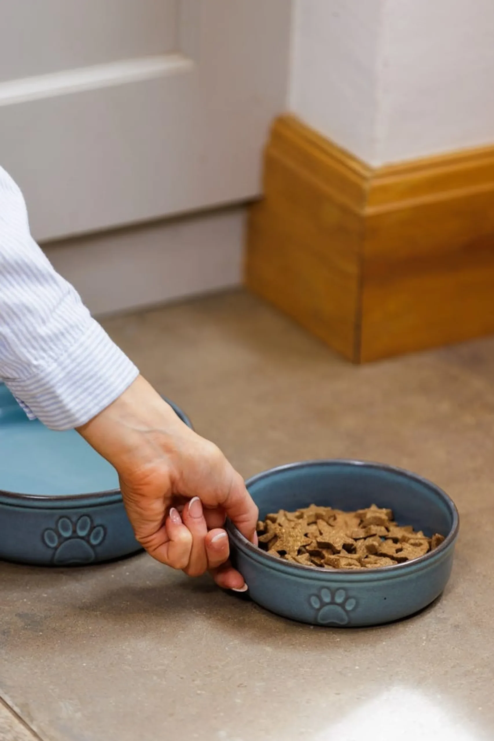 Reactive Paw 15x5cm Bowl