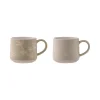 Set Of 2 Botanical Leaf Mugs Grey & Stone